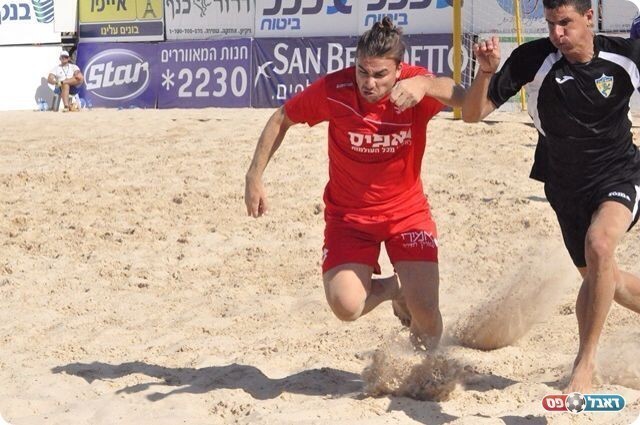 כבש צמד קורטיבה (צילום:חאדר אניס)